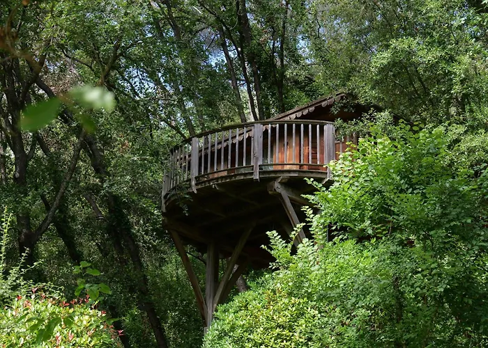 Airport Hotel: Orion Treehouses
