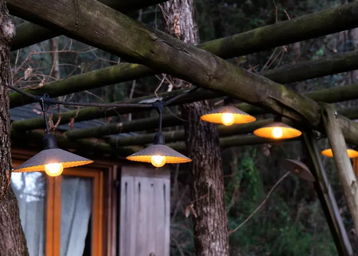 Hotels Close to Airport Orion Treehouses