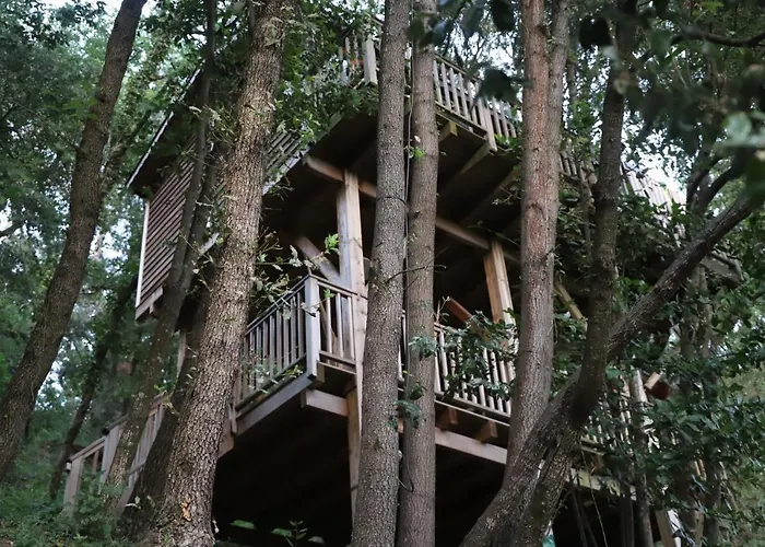Airport Hotel: Orion Treehouses